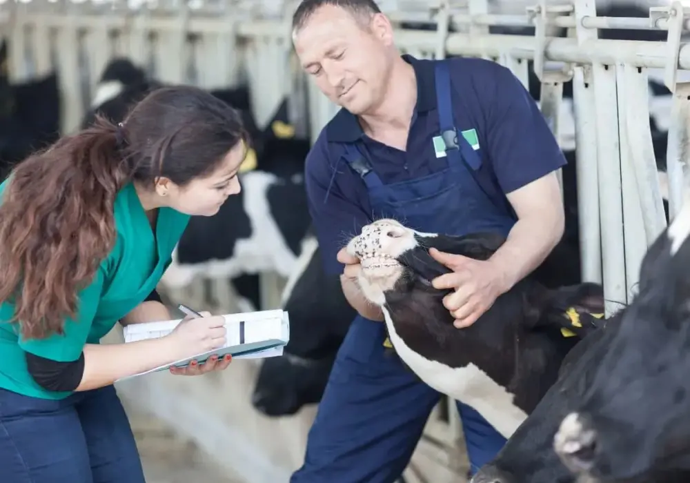 Ile zarabia technik farmacji na stażu? Zaskakujące różnice w wynagrodzeniach