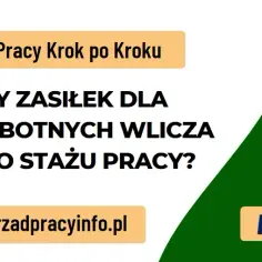 Czy staż wlicza się do zasiłku dla bezrobotnych? Sprawdź, co musisz wiedzieć