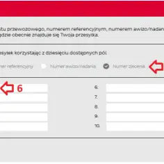 Jak szybko znaleźć numer zlecenia DPD i uniknąć problemów z dostawą