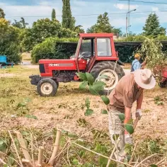 Praca w gospodarstwie rolnym a staż pracy: jakie dokumenty są potrzebne?