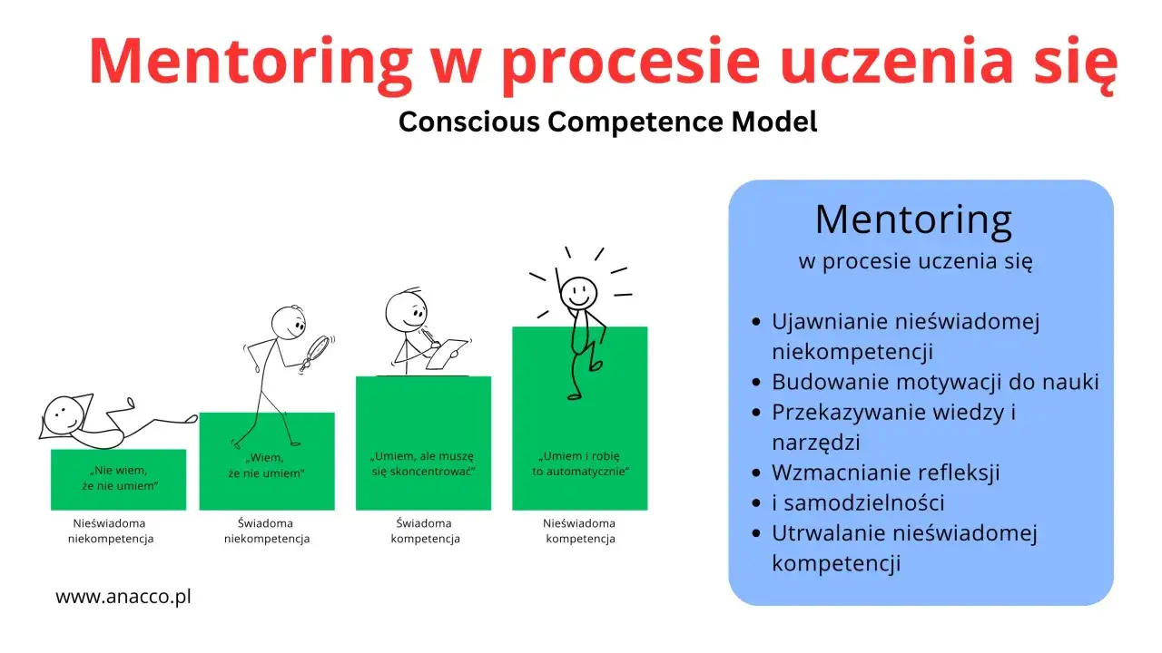 Model świadomych kompetencji w procesie uczenia się, gdzie mentoring pomaga przejść od nieświadomości do biegłości.