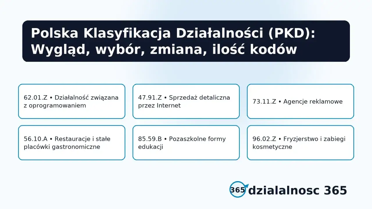 Przykłady kodów PKD: działalność związana z oprogramowaniem, sprzedaż detaliczna przez Internet, agencje reklamowe, restauracje, edukacja, fryzjerstwo.