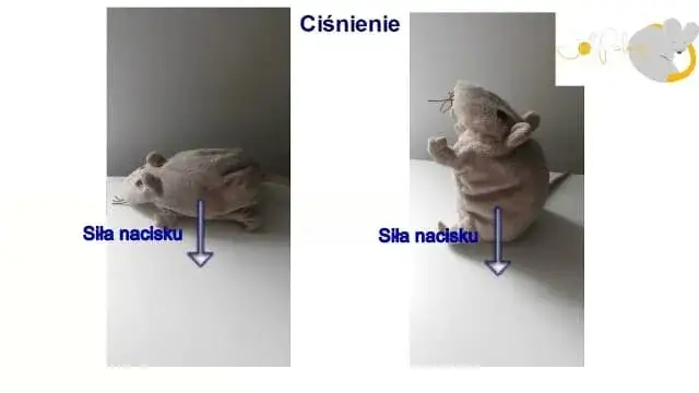 Zdjęcie Czy L4 na umowie zlecenie jest płatne? Sprawdź, kto może otrzymać zasiłek